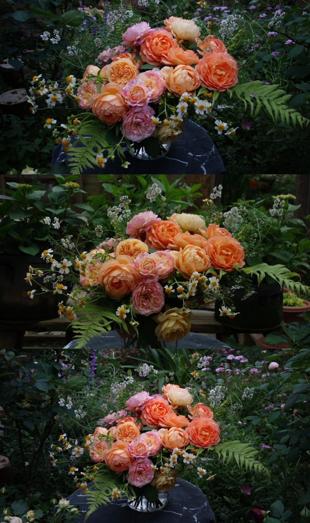 造园记:从陆家嘴后花园到山居小花园