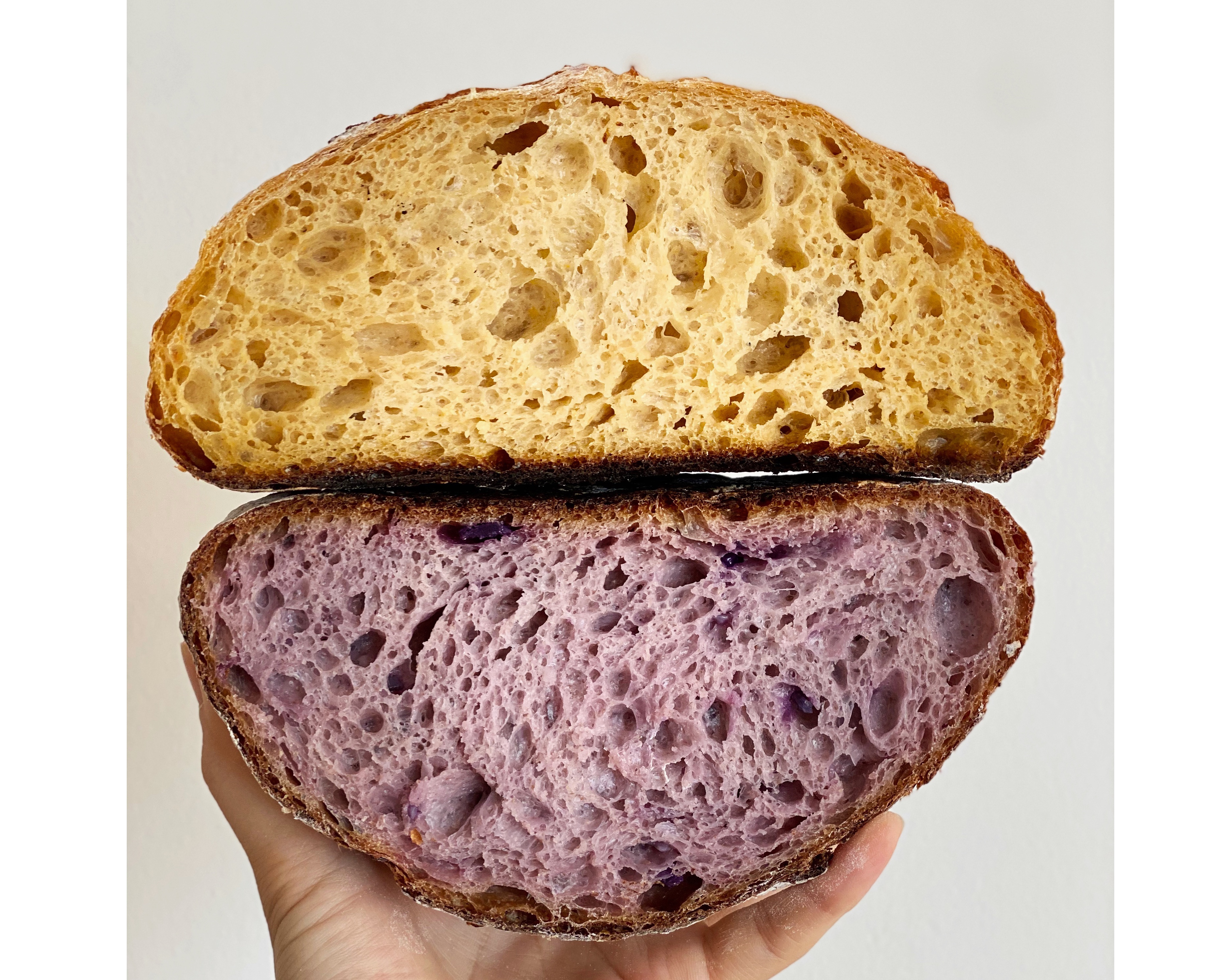 健康红薯/紫薯酸种欧包的做法