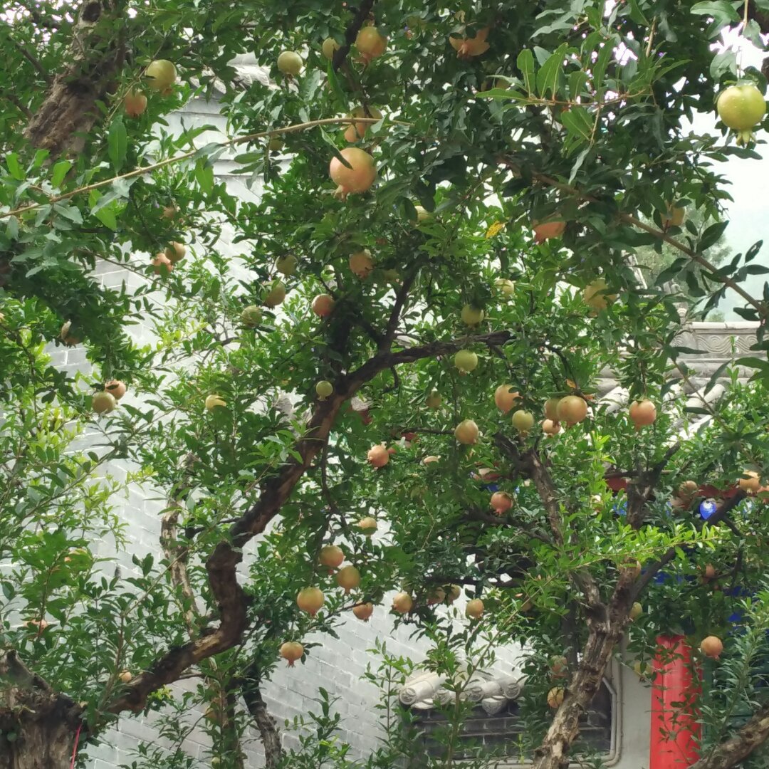 没人用过的头像