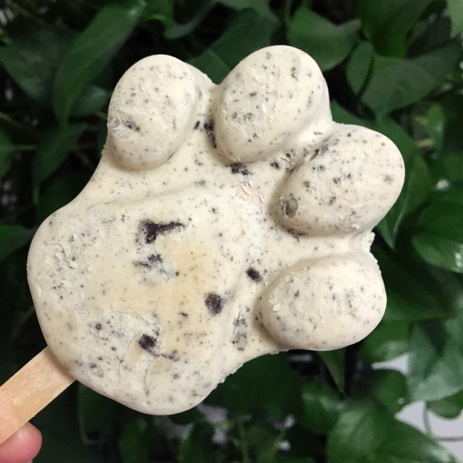 超级无敌好吃的奥利奥牛奶雪糕！！