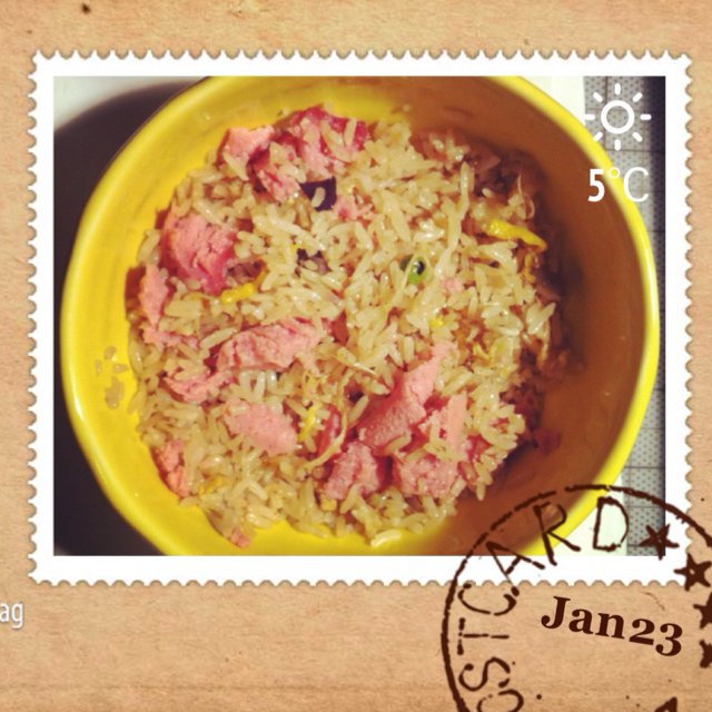 苦逼炒饭