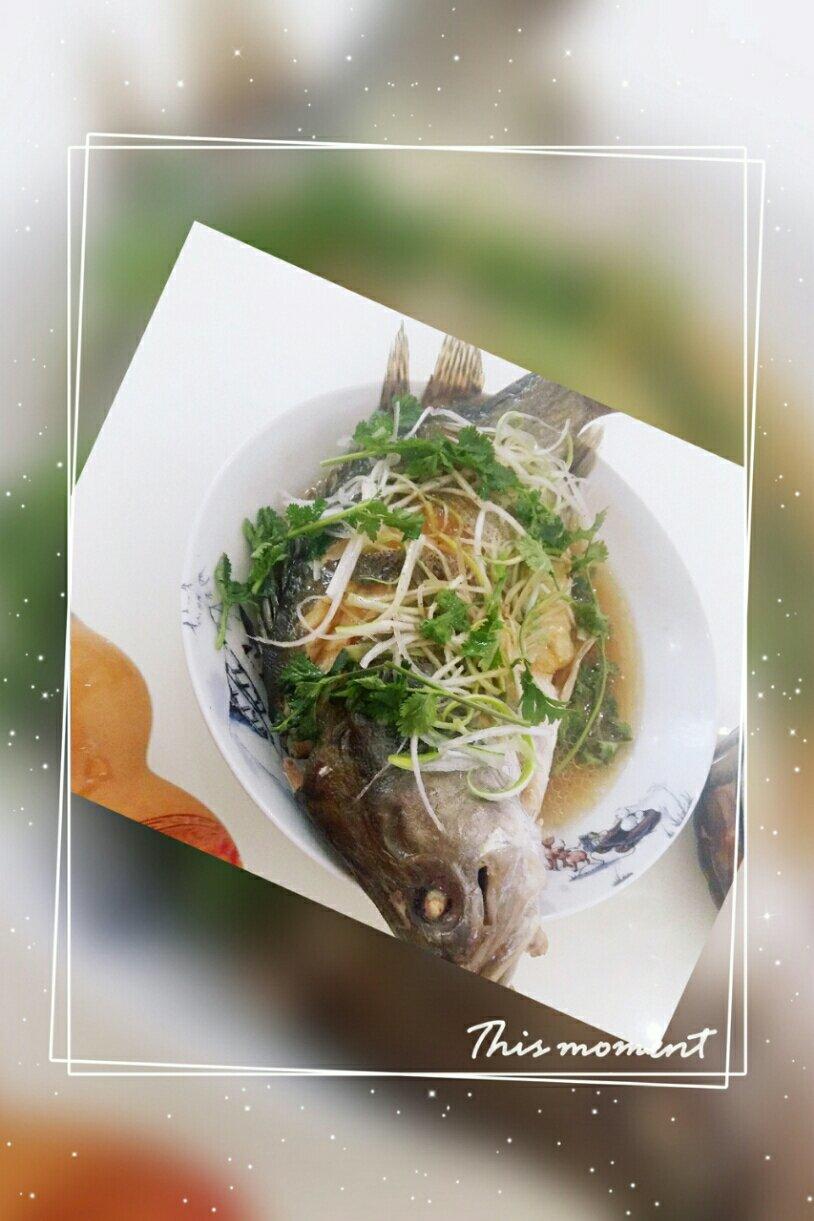 清蒸桂鱼