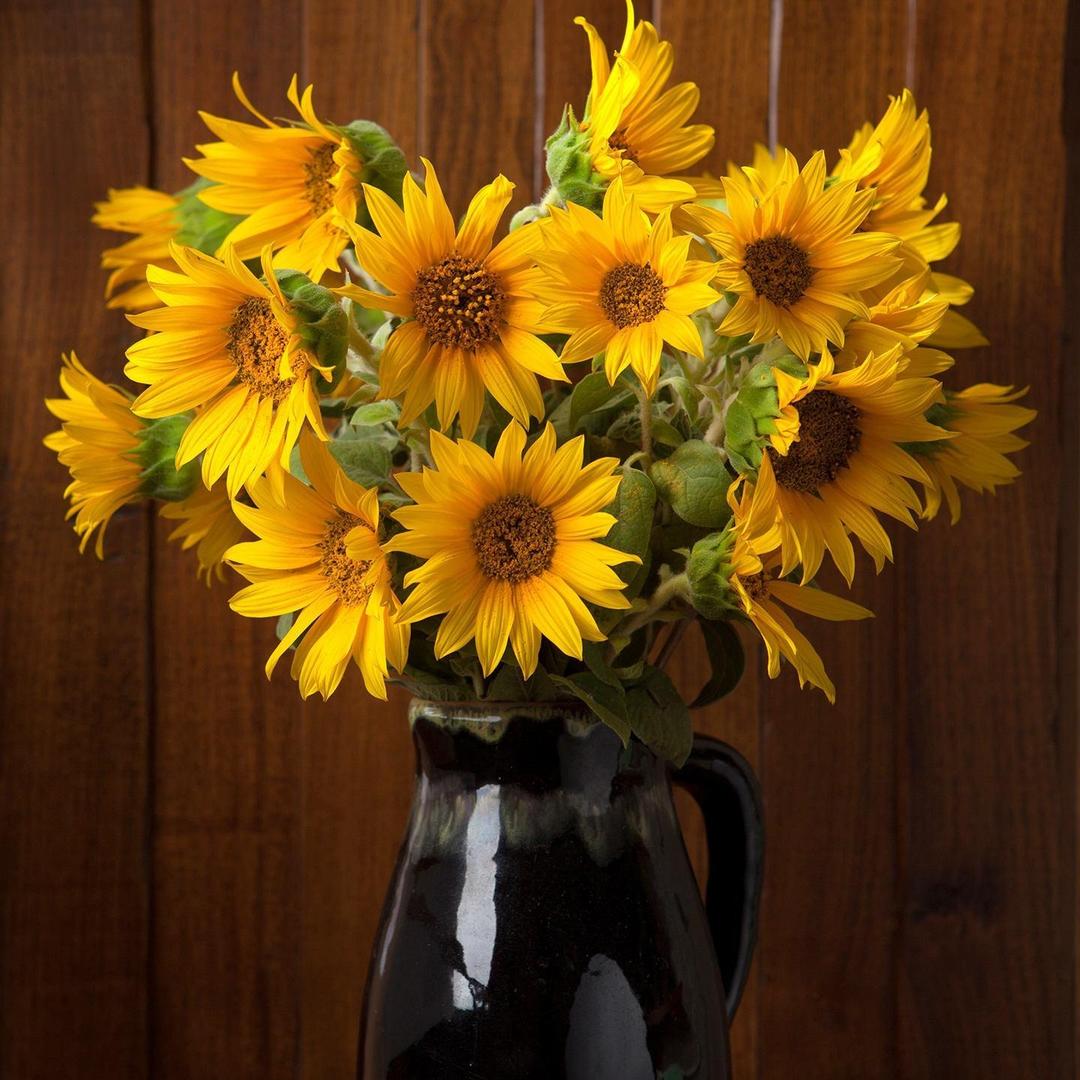 爱琴海的爱情海