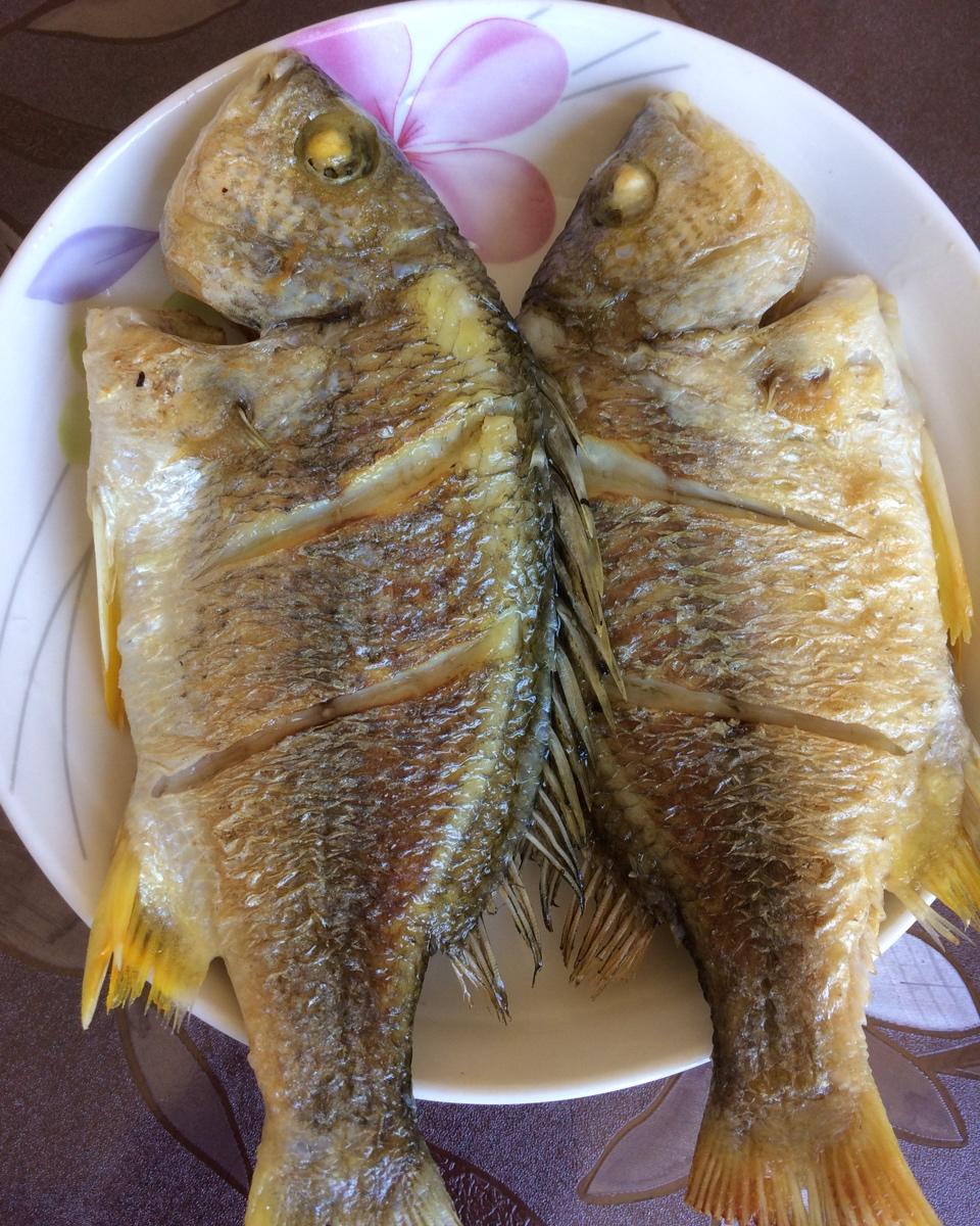 香煎黄翅鱼的全部作品