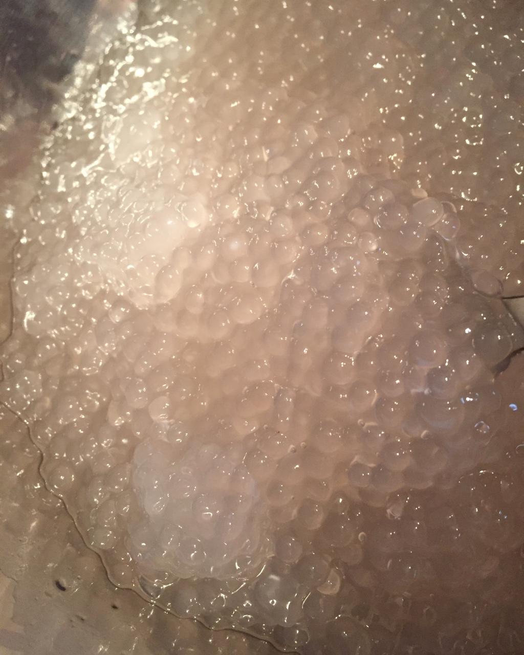 学会西米露煮出晶莹剔透