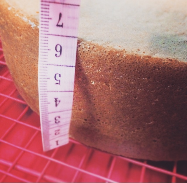 小嶋老师的海绵蛋糕