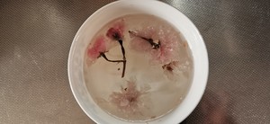 猫家甜品 水信玄饼的做法步骤图 毛毛梅梅的猫 下厨房 猫家甜品 水信玄饼的做法步骤图 毛毛梅梅的猫 下厨房