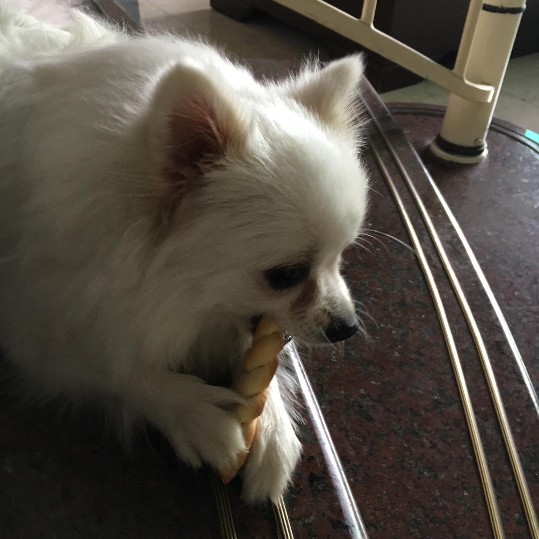 宠物狗狗饼干零食（磨牙阿拉棒）