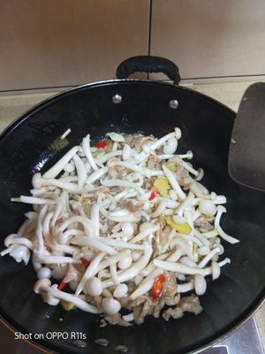 白玉菇炒肉片的做法 步骤8