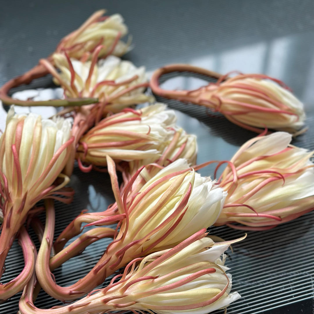 昙花炒蛋