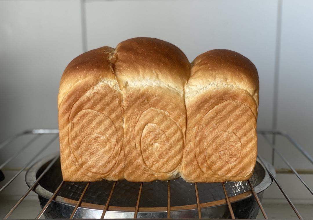 Honey Milk 蜜香白吐司