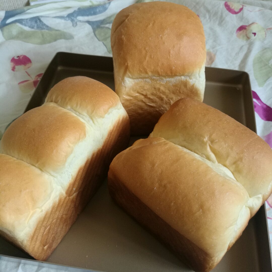 超绵酸奶吐司（百分之百中种）