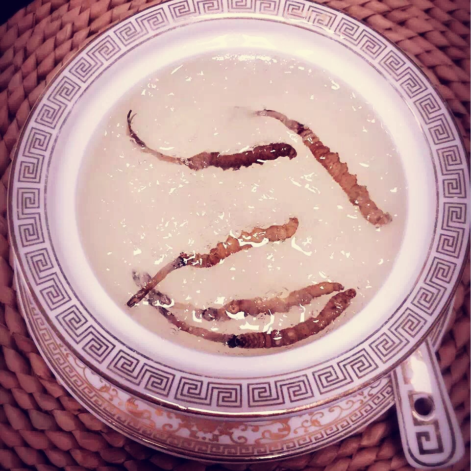 虫草燕窝