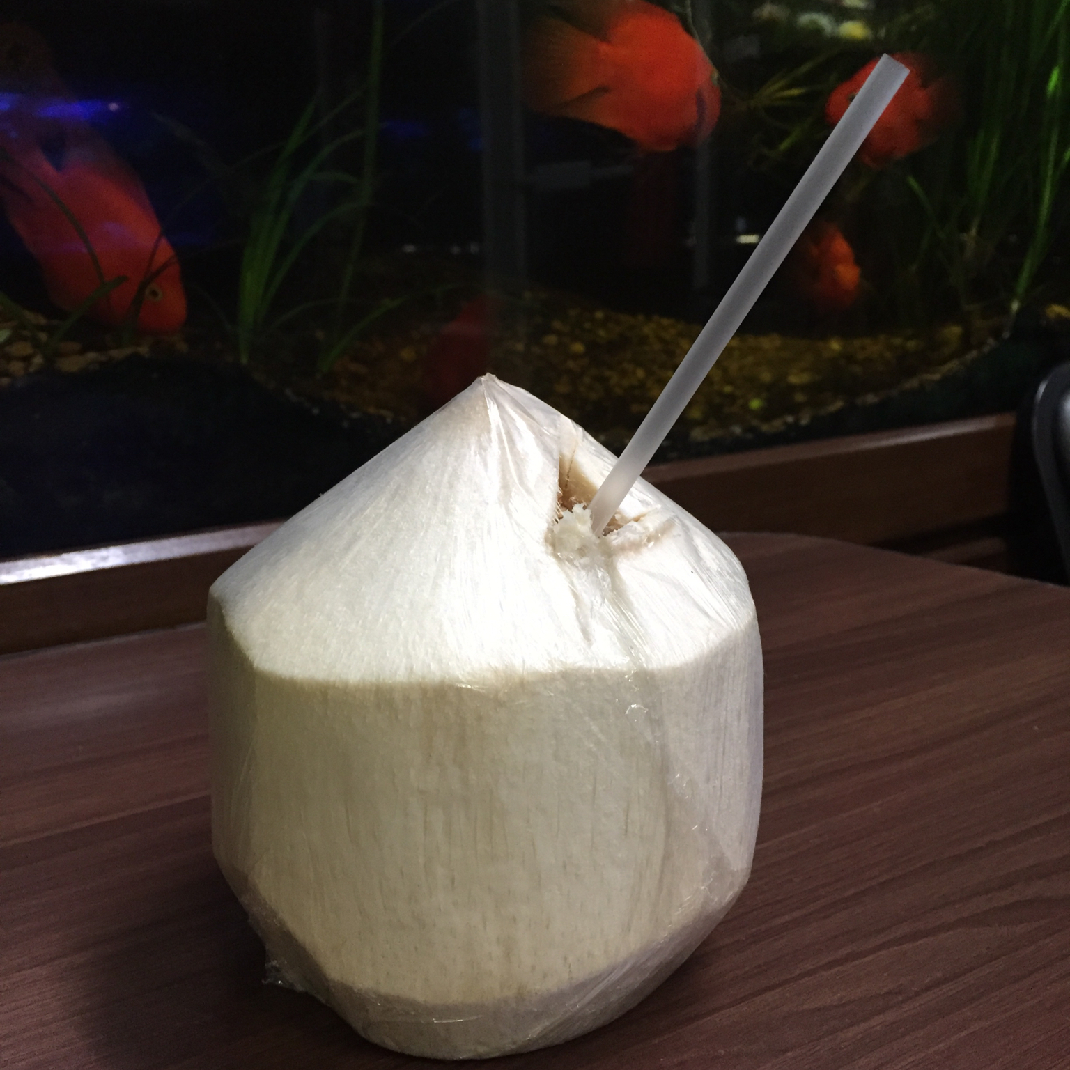 薄荷教你开椰子 ~