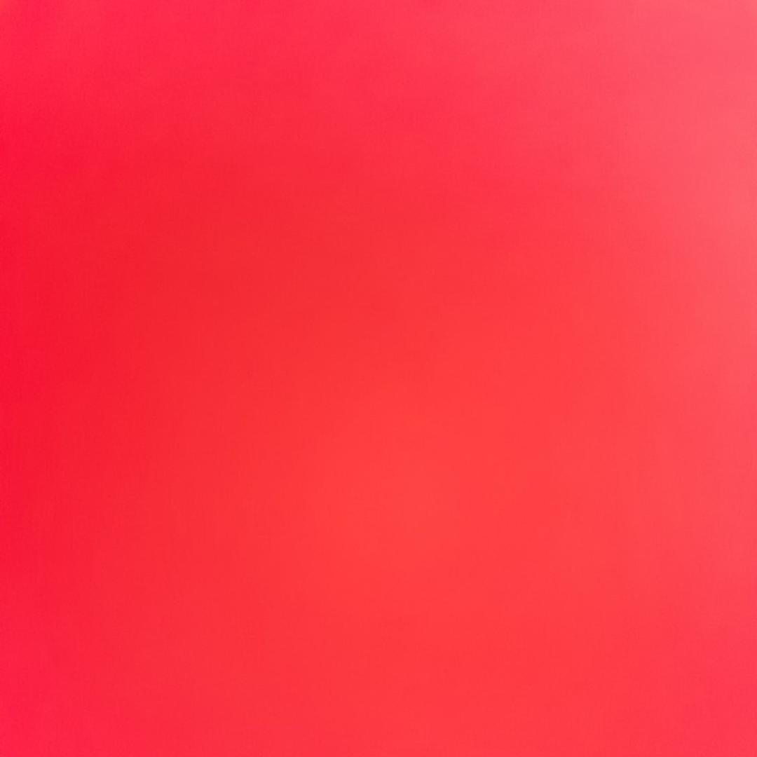 一个小鹏友