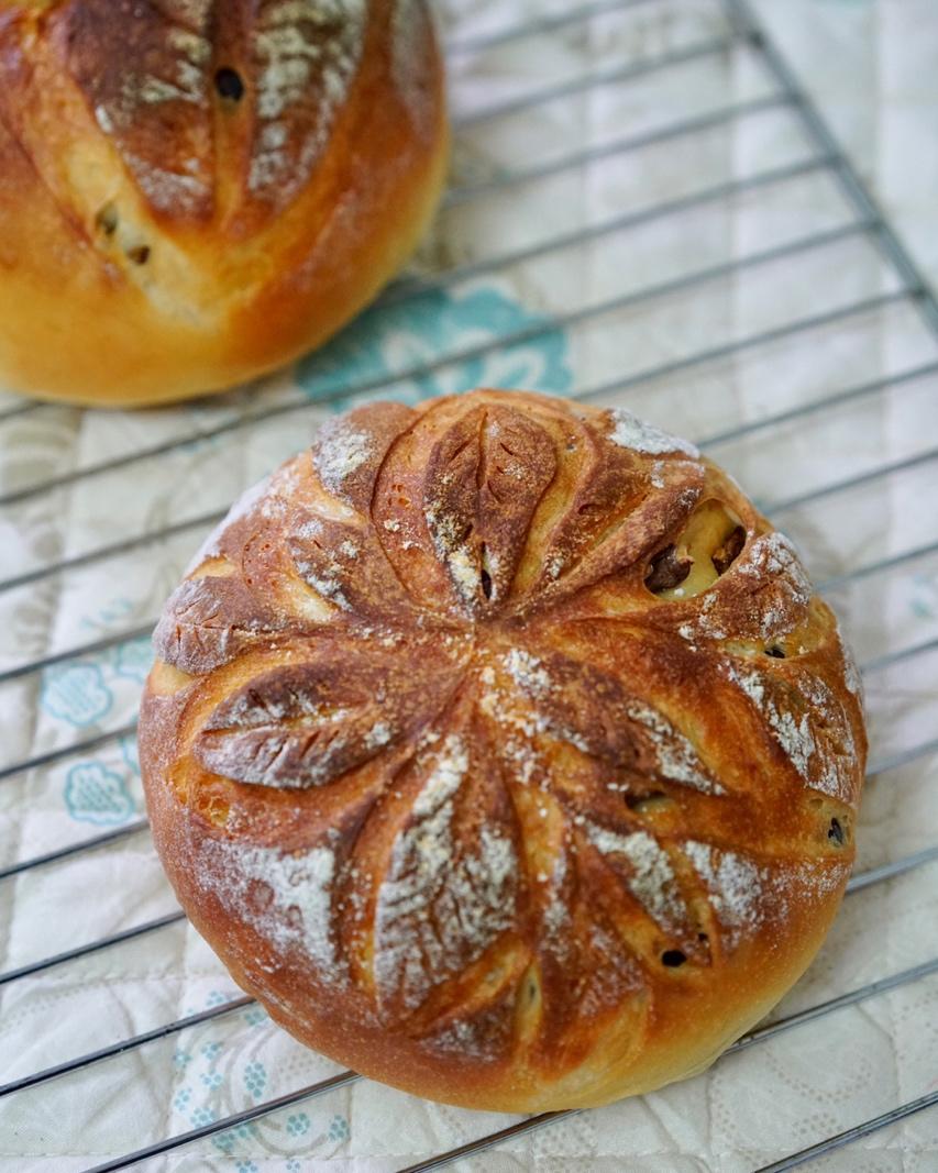 🍞免揉欧包新手入门指南（冷藏发酵、无油无糖）