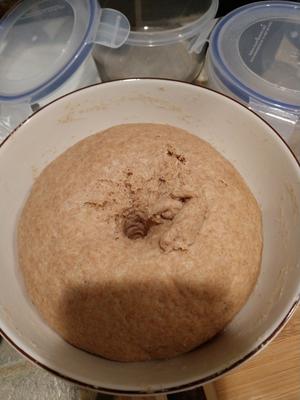 朴素全麦面粉包子的做法 步骤4