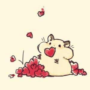 土豆爱烘培