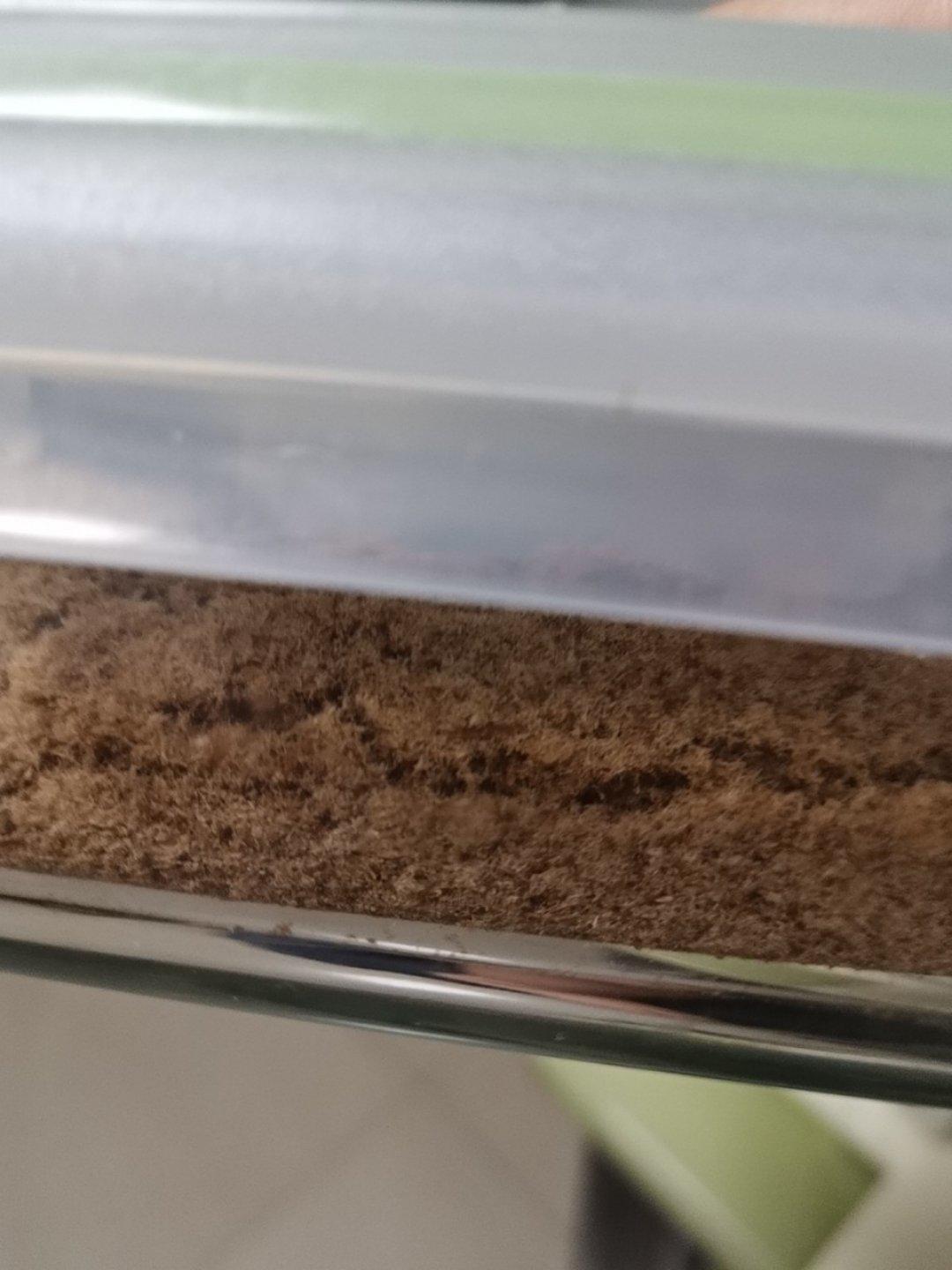 宝宝辅食系列～原味牛肉松