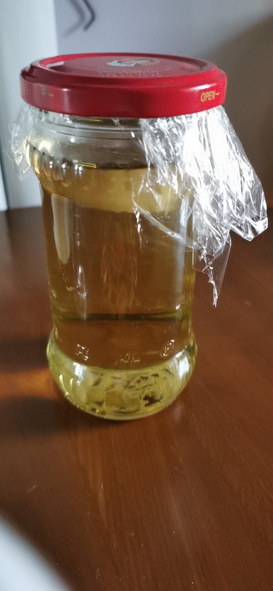 【青梅酒】梅子的沉醉时光（已填坑）