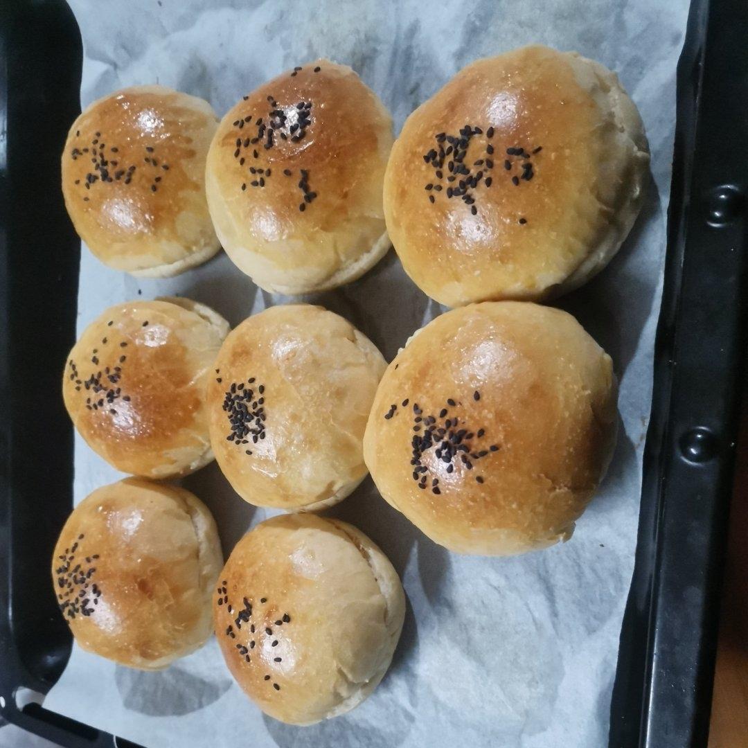 汉堡胚（波兰种）