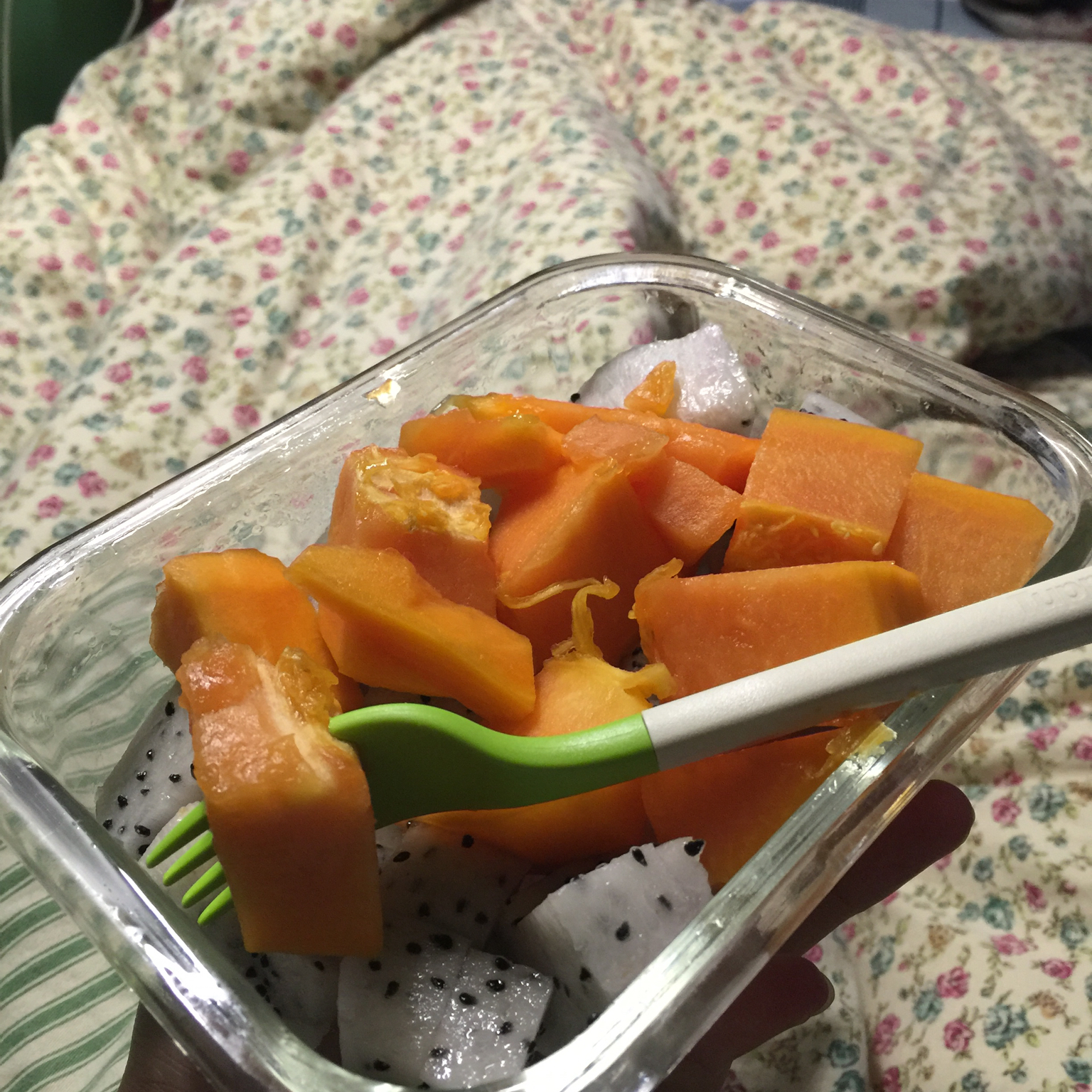 木瓜椰奶冻
