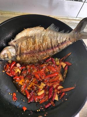 泡椒鳊鱼的做法 步骤4