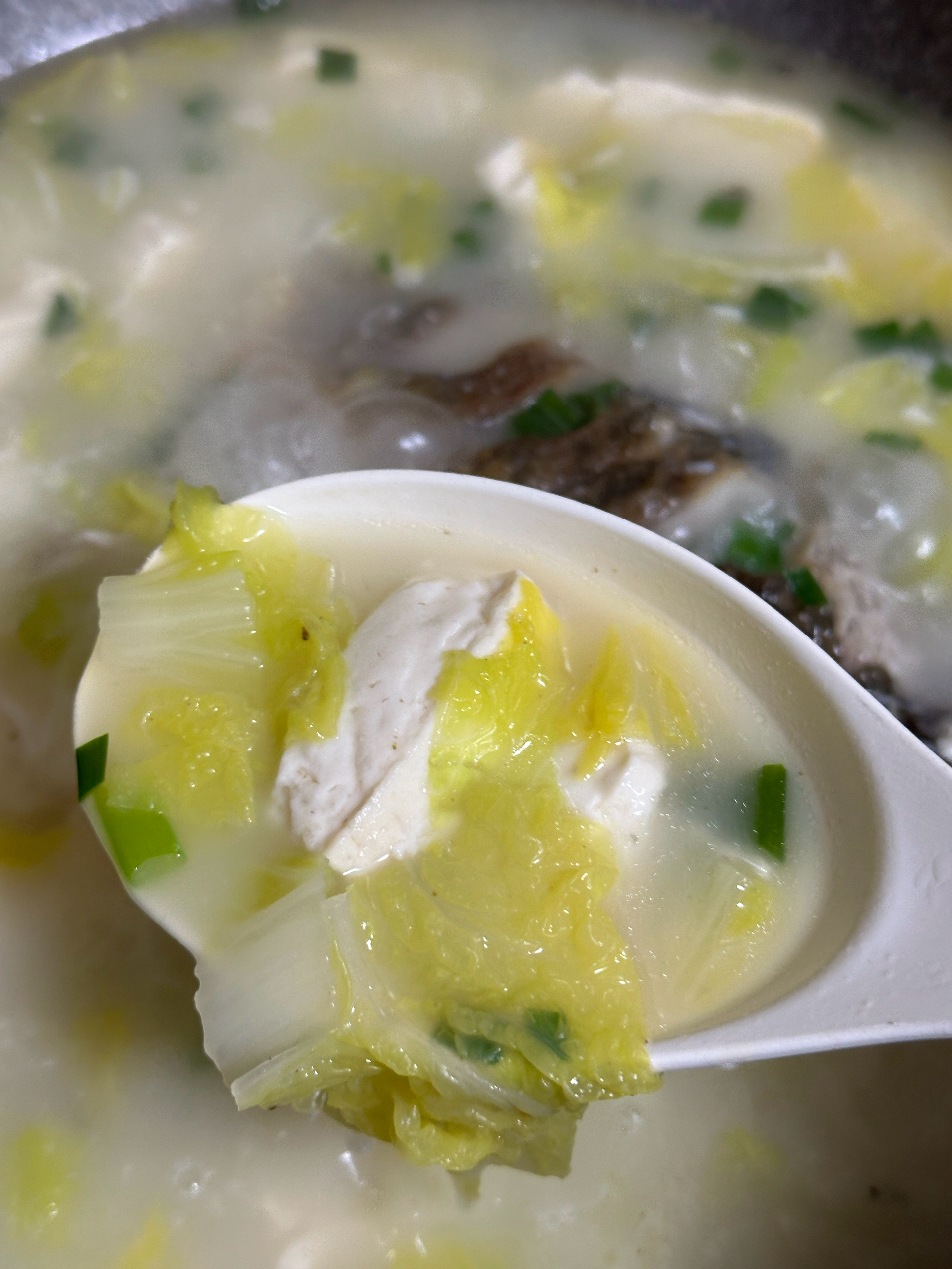 鲜掉眉毛的鲫鱼豆腐白菜汤，做法超简单！