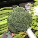 手机用户6722_d1av