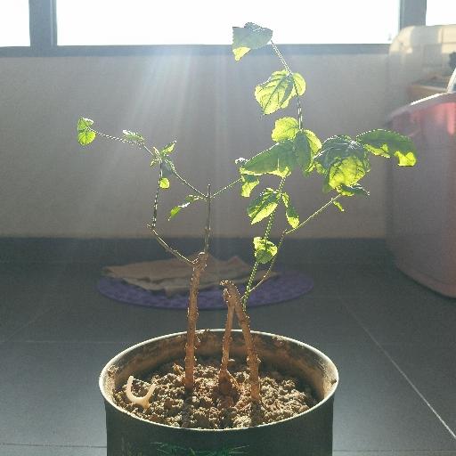 闲的没事做做饭