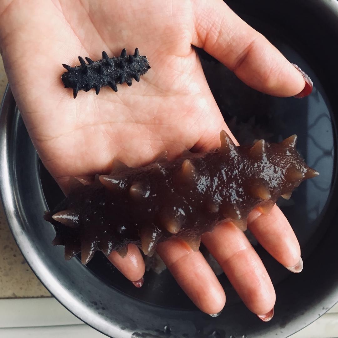 不一样的夏天做的海参泡发攻略