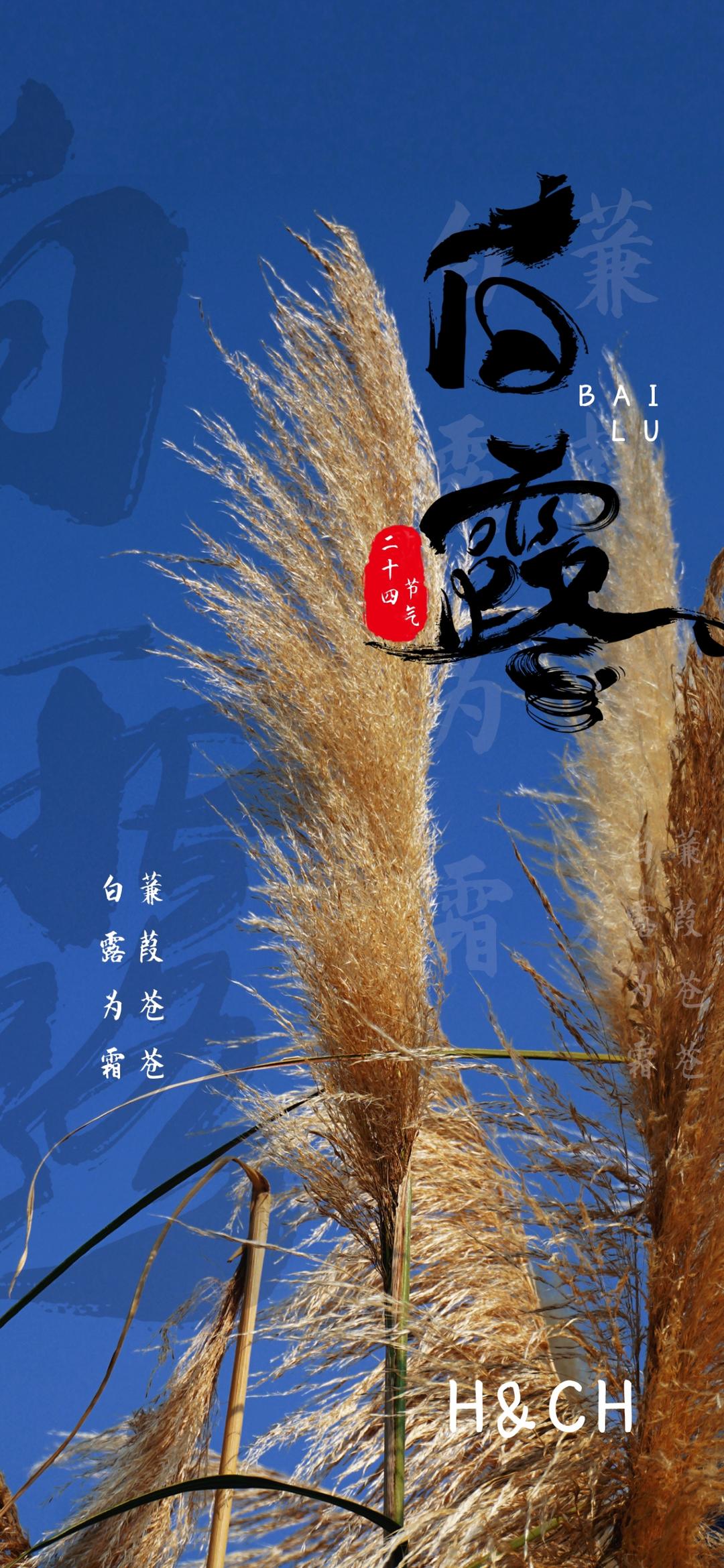 二十四节气的图