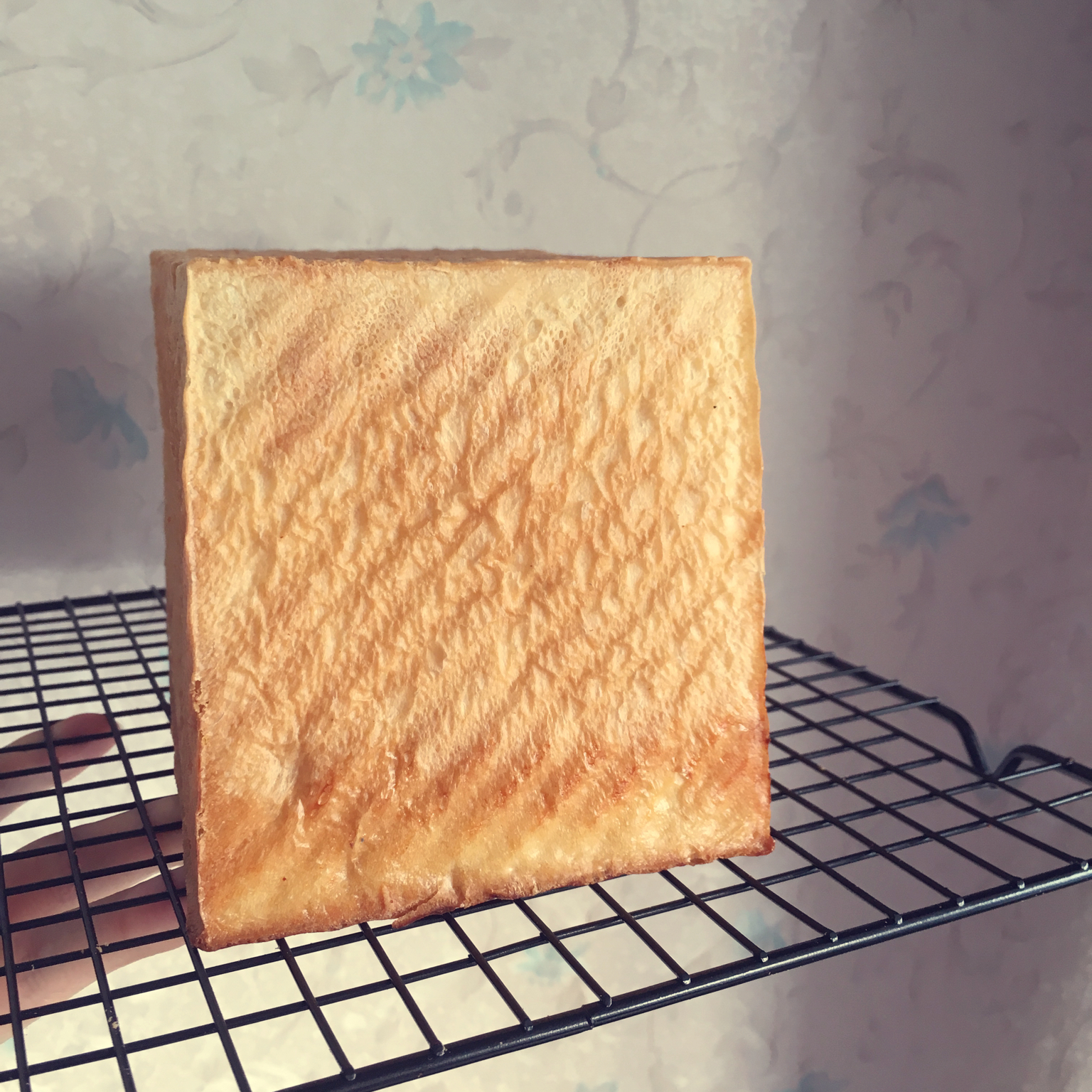 最好吃的吐司～70%中种北海道