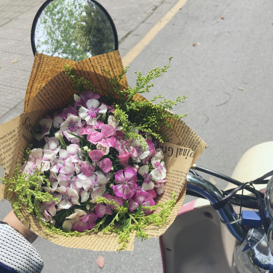 爱吃土豆的顾小T