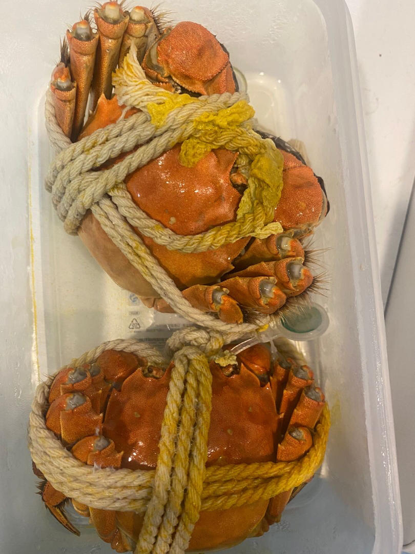 清蒸大闸蟹
