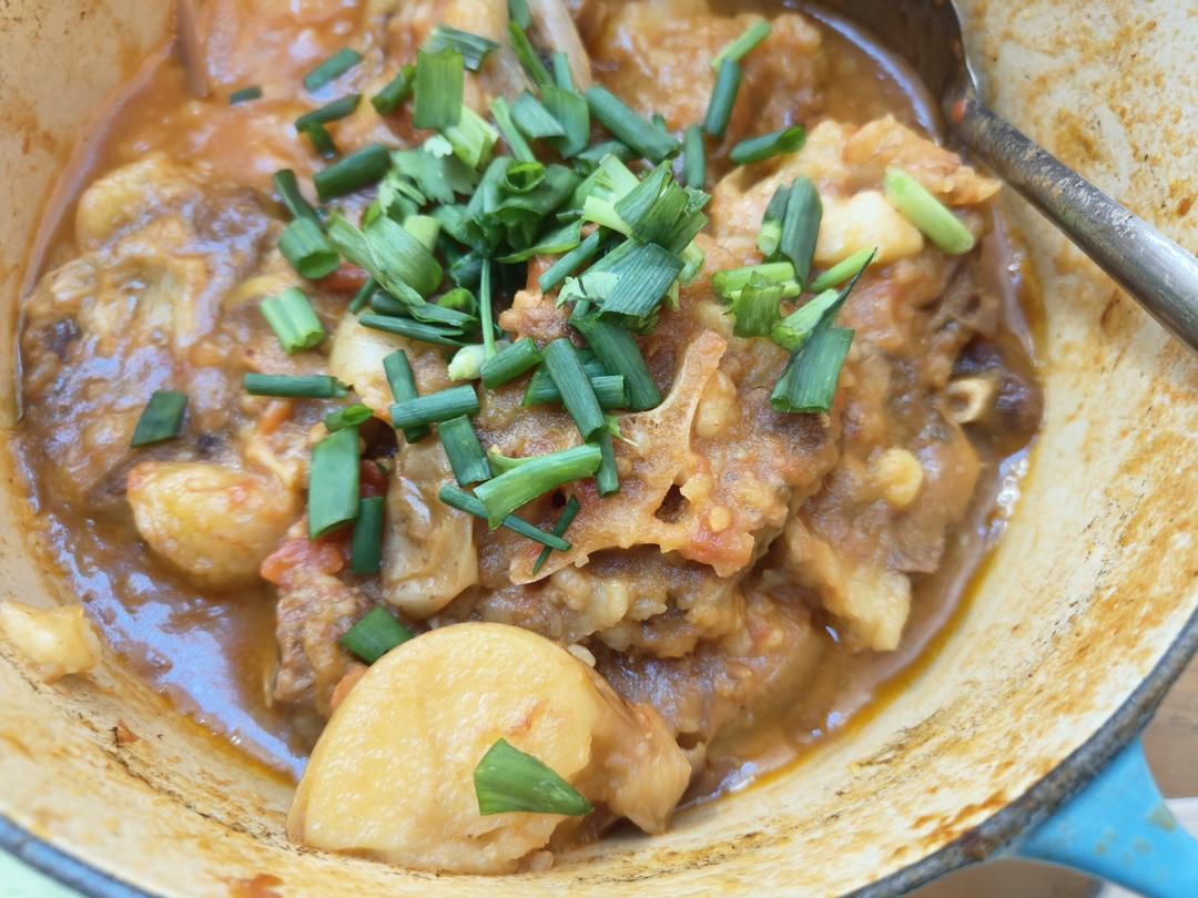 番茄牛尾汤--Staub珐琅铸铁锅