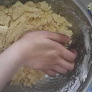 香草沙布雷（简约传统的欧式小饼干）的做法 步骤5