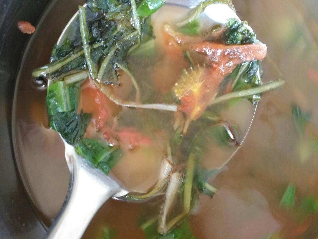 蒲公英豆腐汤