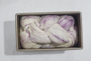 中种大理石紫薯吐司的做法 步骤15