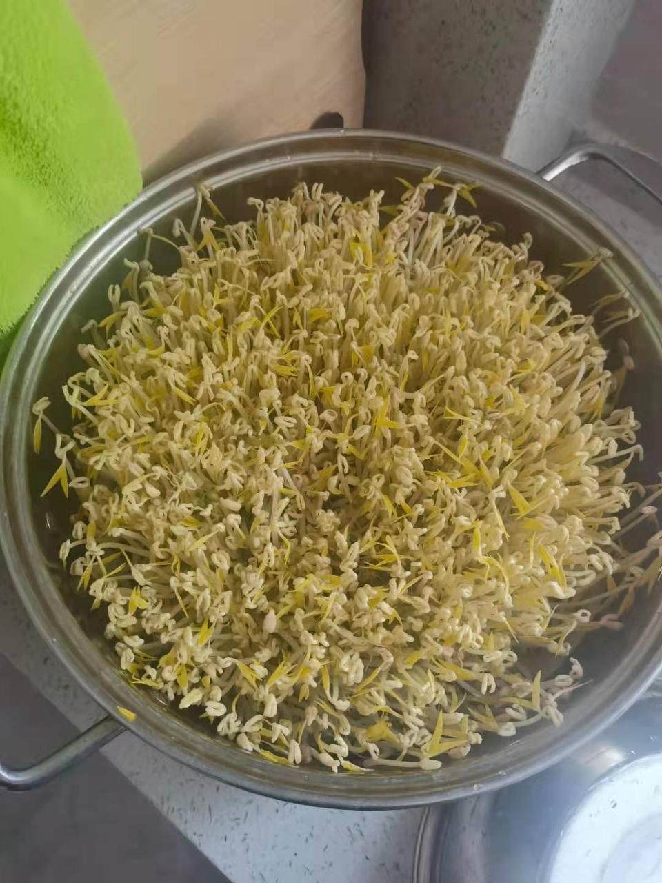 生绿豆芽是有窍门的哦