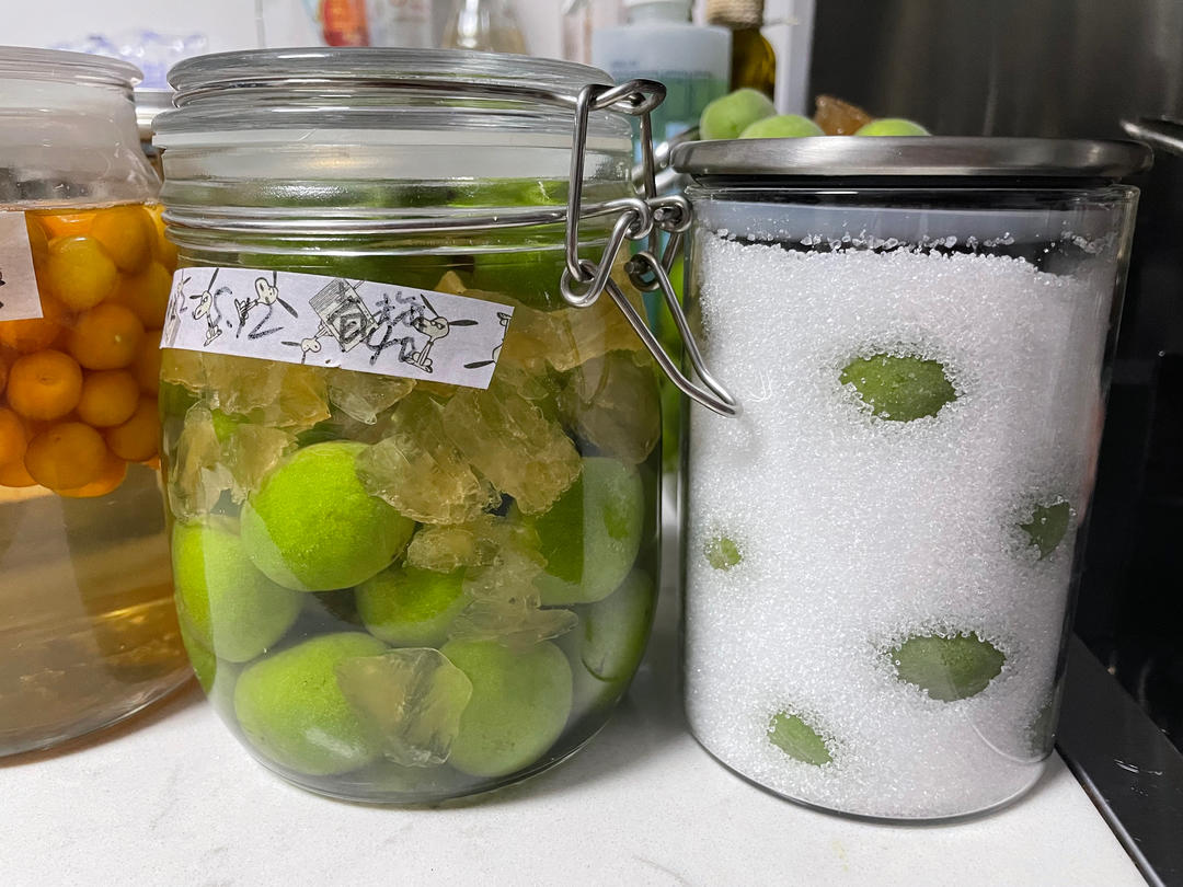 夏天的青梅酒&青梅露