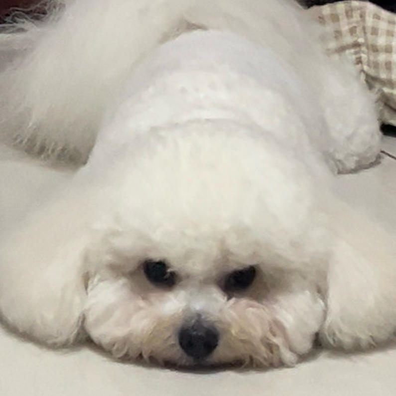 妮妮会做饭的妈