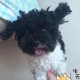 食多d啊