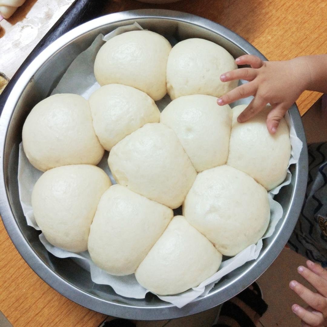 广式馒头（刀切，圆形。馒头。附视频。一次性发酵）