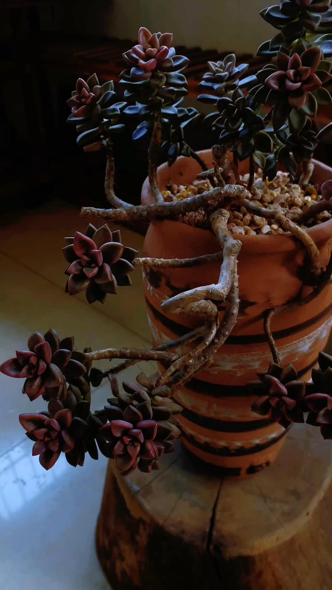 💖🌹yanyan甜品🍮&水果🍓🍒&面包🍞篇