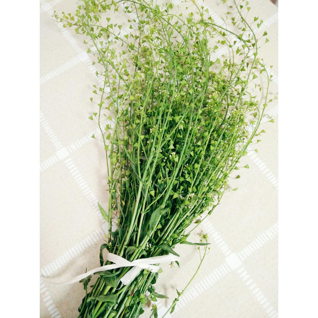 三月三.荠菜煮鸡蛋