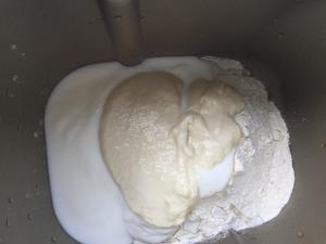 中种酸奶乳酪全麦面包--低糖适合孕妇的做法 步骤2