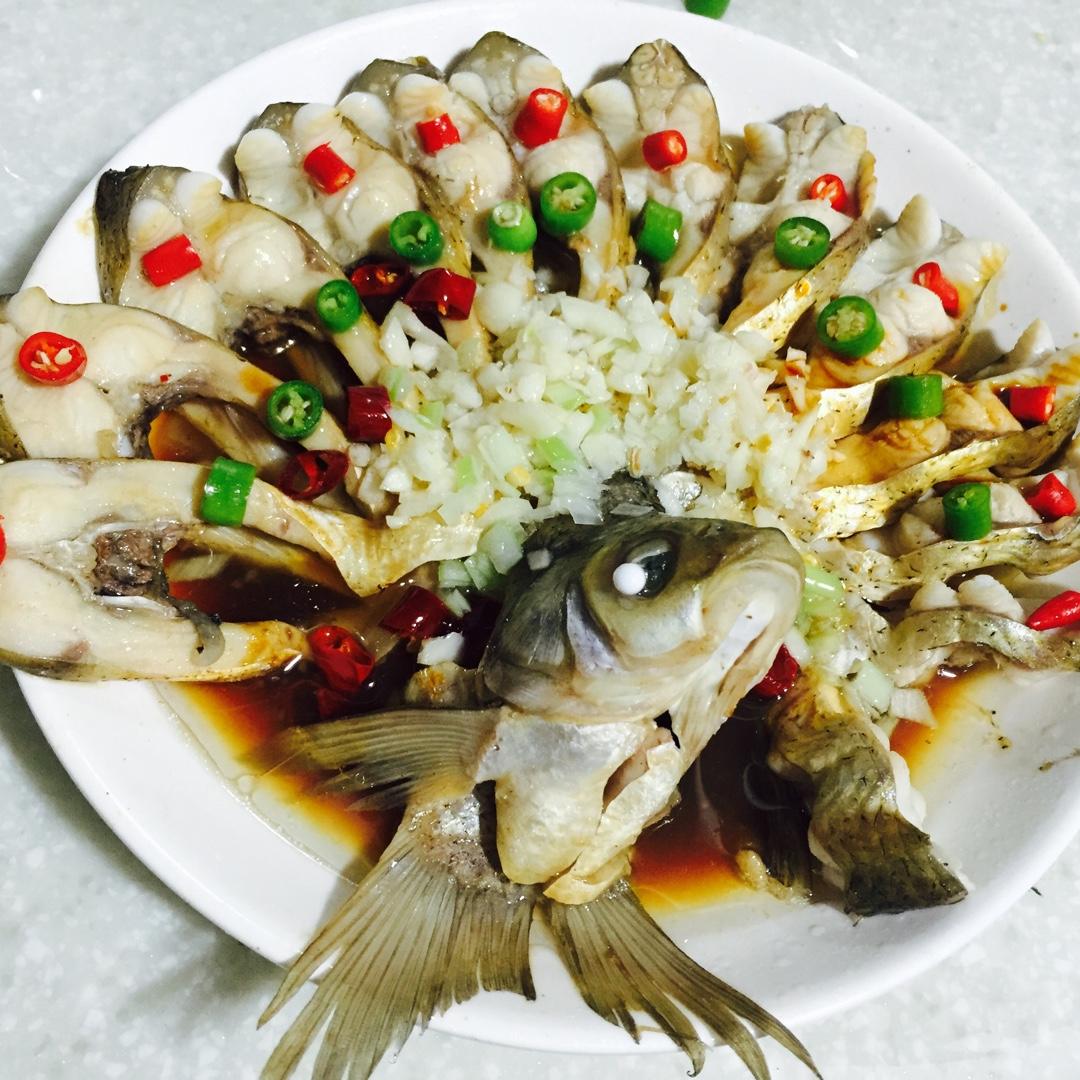 孔雀开屏鱼.
