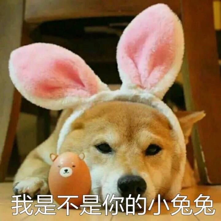 喵小姐的甜品店