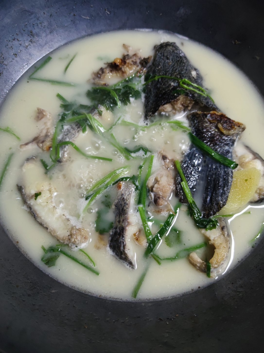 超鲜的奶白黑鱼汤